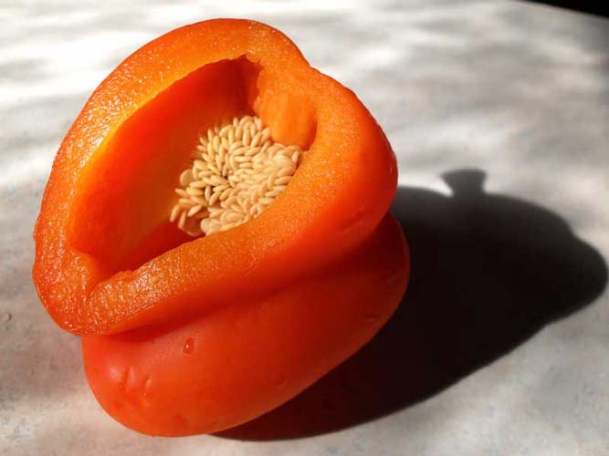 bell pepper