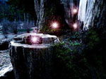 Photomanipulation Gallery